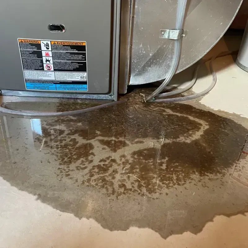 Appliance Leak Cleanup in East Patchogue, NY